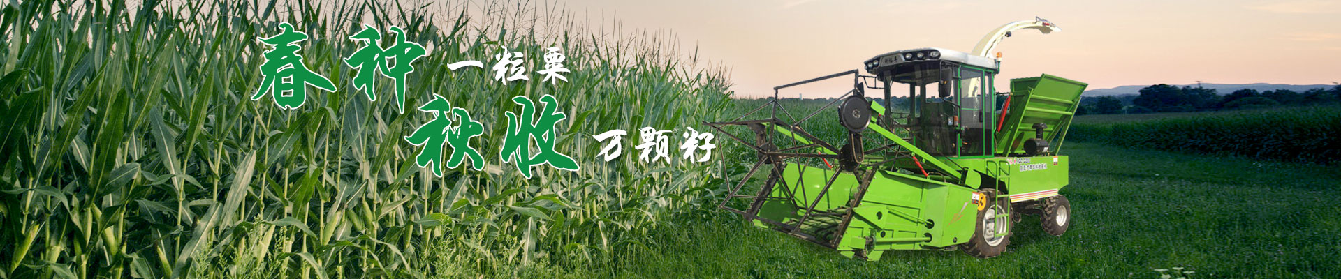 wellbet吉祥访下载app