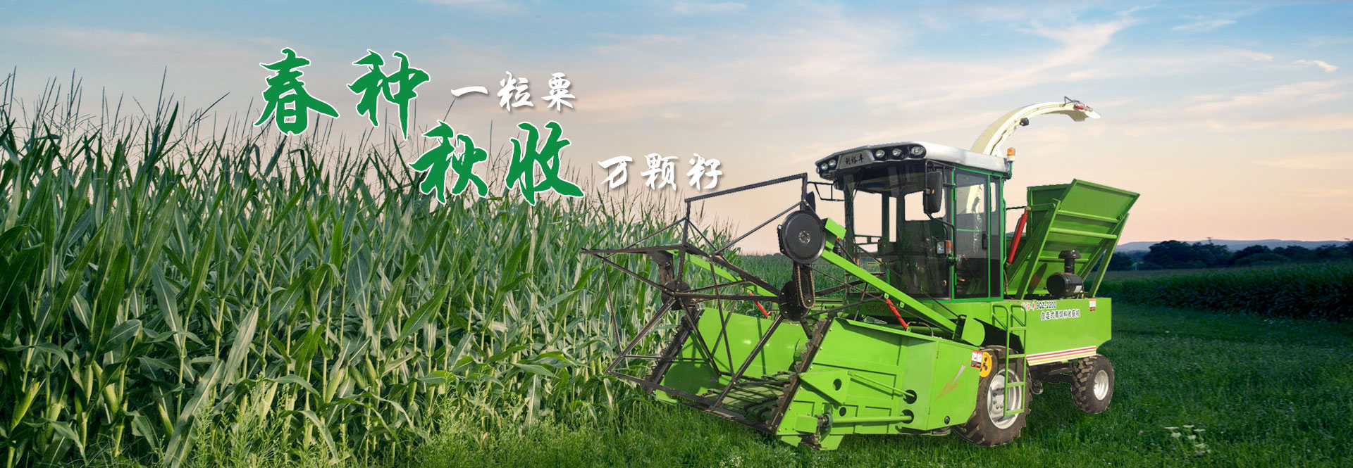 wellbet吉祥访下载app